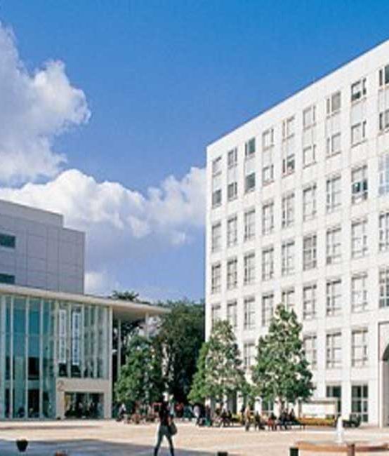 Beasiswa S1 Jepang Tokyo International University