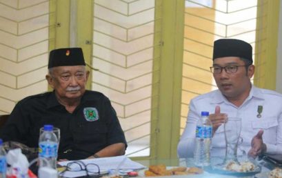 Ridwan Kamil Akan Audit Pohon di Bandung