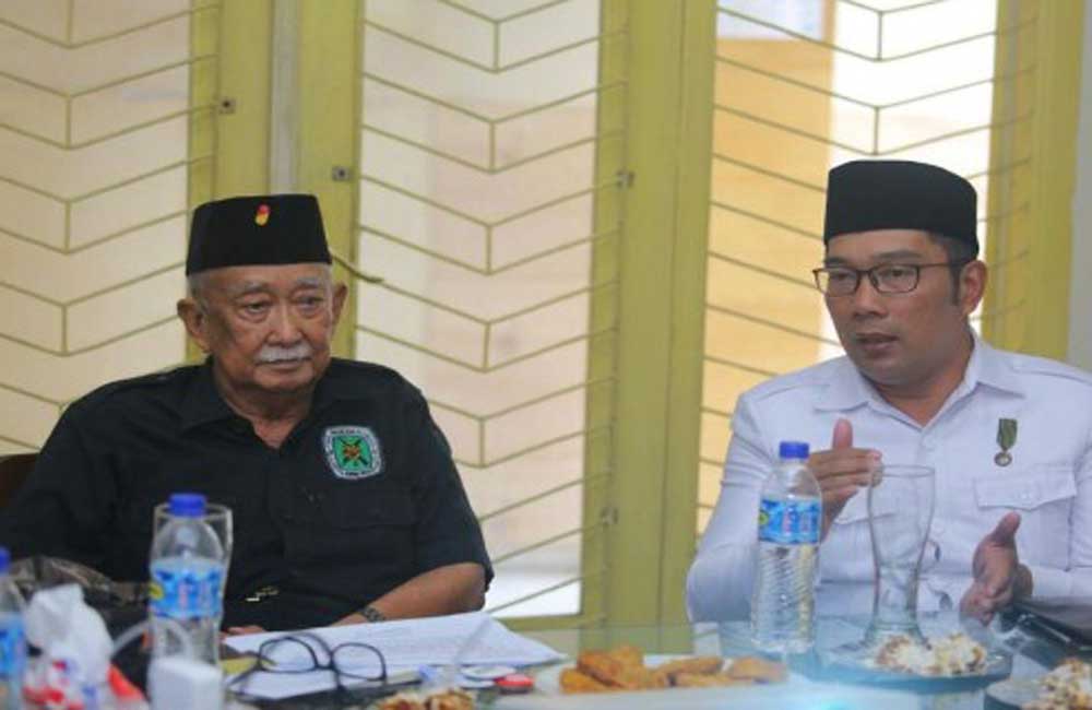 Ridwan Kamil Akan Audit Pohon di Bandung