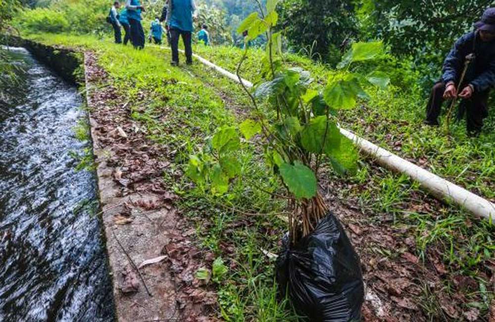 Daerah Tangkapan Air Gunung Burangrang Daerah Tangkapan Air Gunung Burangrang