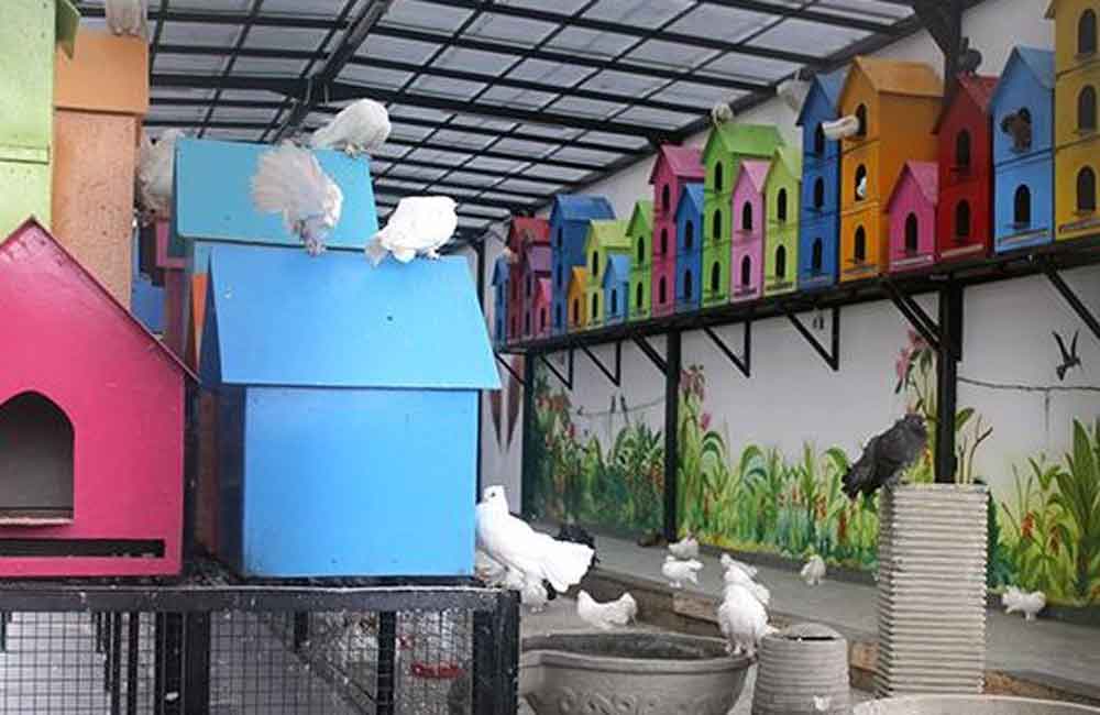 Rabbit Town, Tempat Swafoto Baru di Bandung Rabbit Town, Tempat Swafoto Baru di Bandung