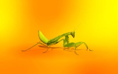 Bahaya, Rootkit Ini Tetap Ada Walau Instal Ulang Windows